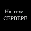 wedmin666